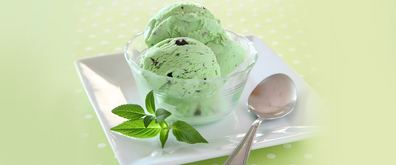 Mint Chocolate Ice Cream